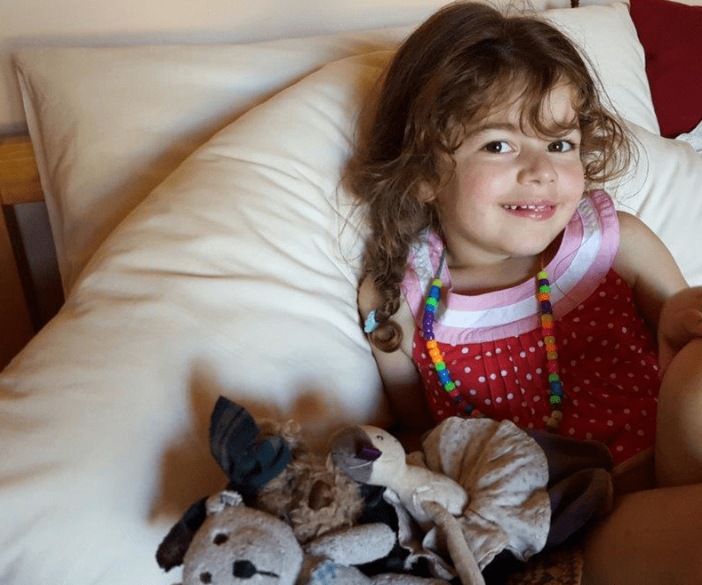 BOOMERANG PILLOW - Luxury Organic Silk Cotton