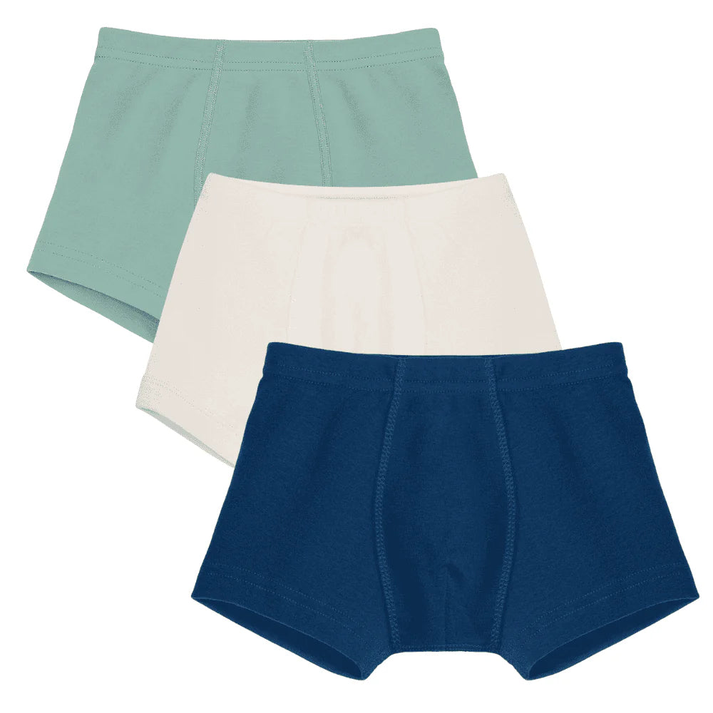 Organic Cotton Boy's Short Trunks 3 pack
