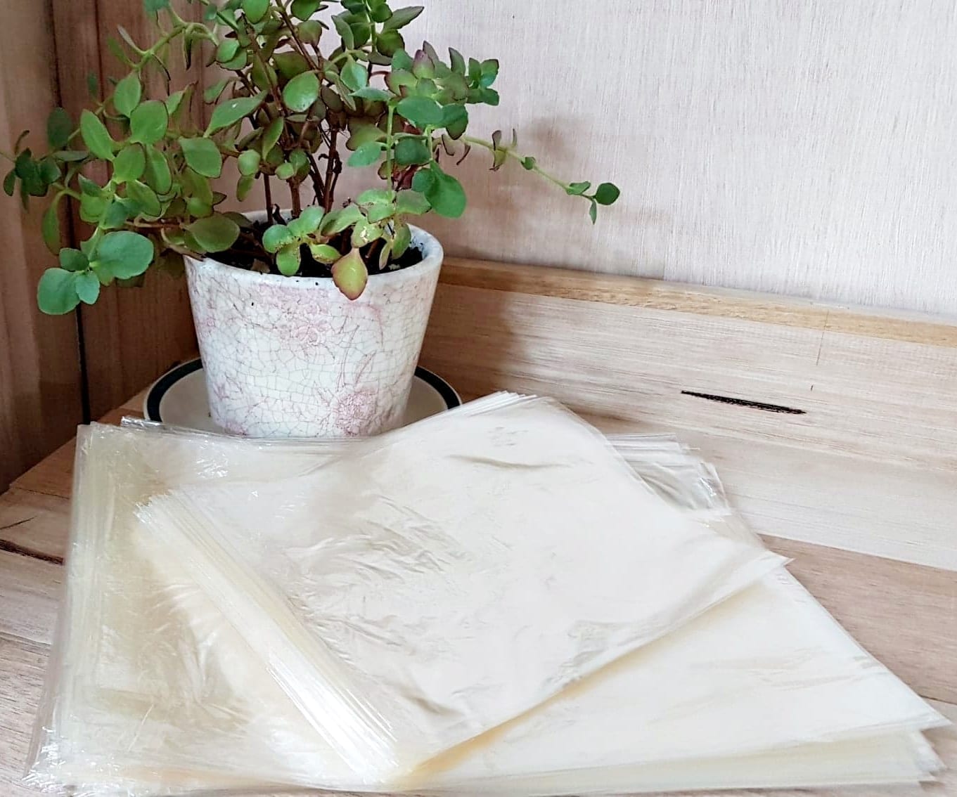 true-cellulose-cellophane-bags