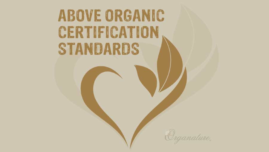 What Does "Certification" Really Mean?
