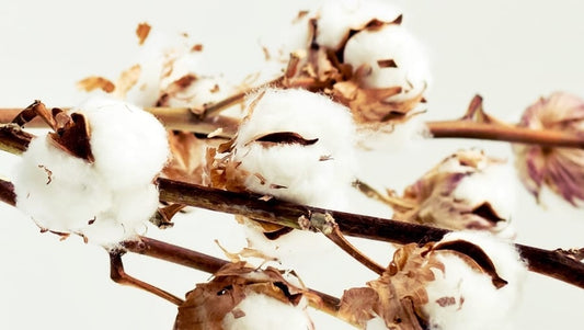 cotton-is-naturally-clean-no-chemical-washing-required