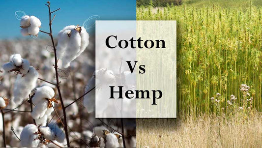 Cotton vs Hemp - The Environmental Impact