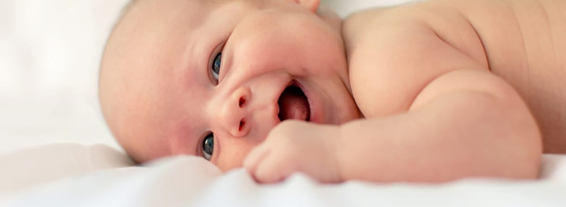 The Organature Bassinet, Cradle or Pram Mattress