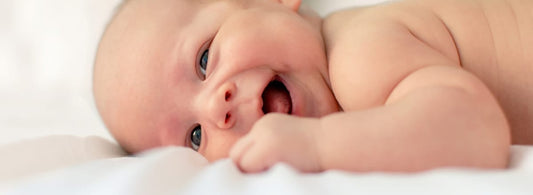 The Organature Bassinet, Cradle or Pram Mattress