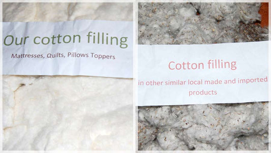Have You Seen What's In Your Pillows?