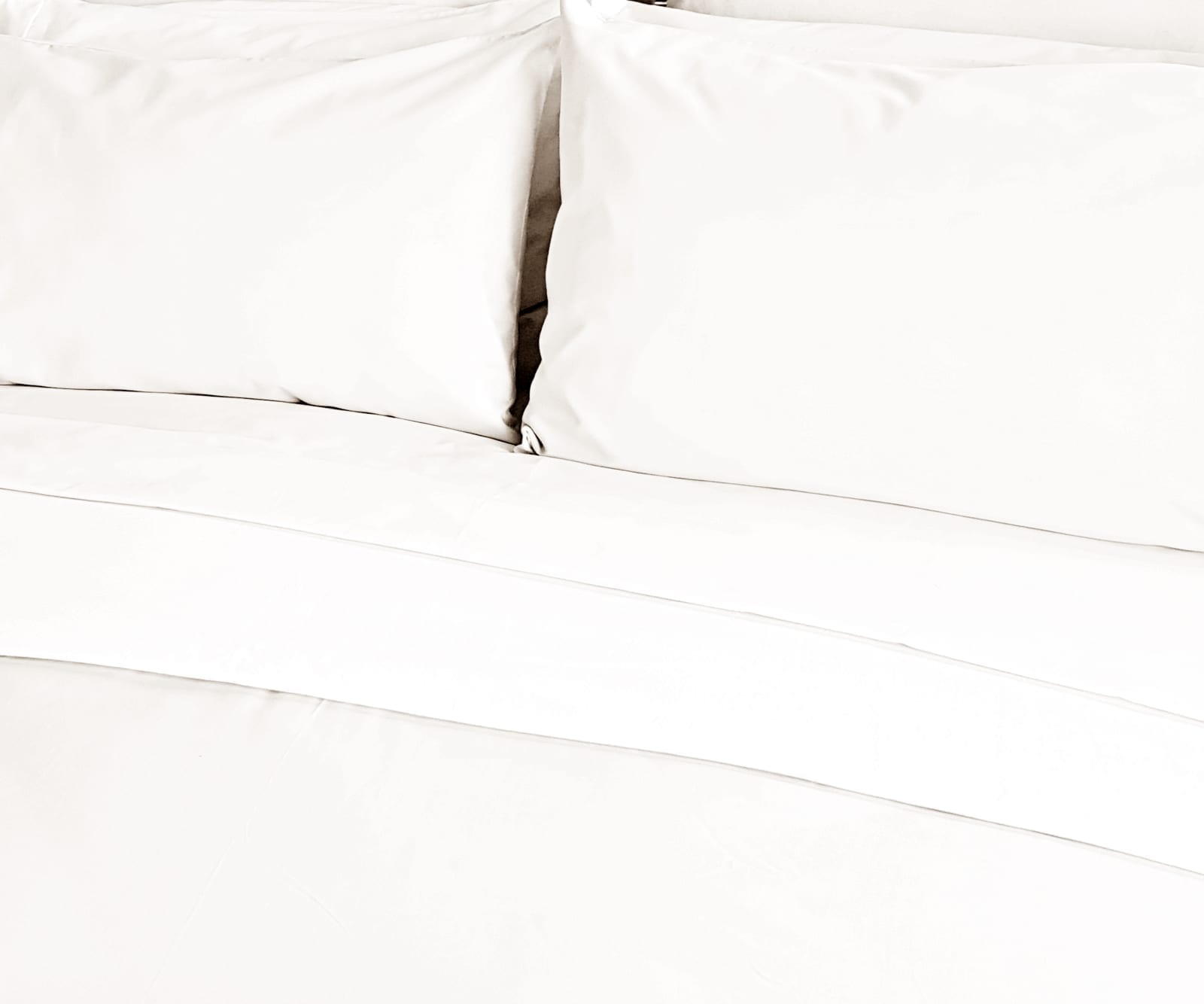 gots-certified-organic-white-poplin-range