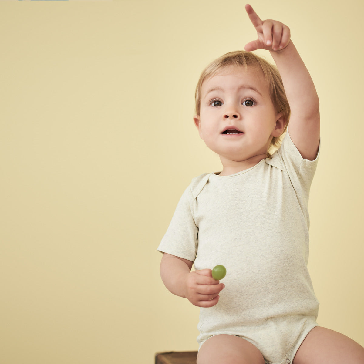 Baby Organic Cotton Onesie Short Sleeve Bodysuit