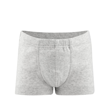 Boys Organic Cotton Trunks