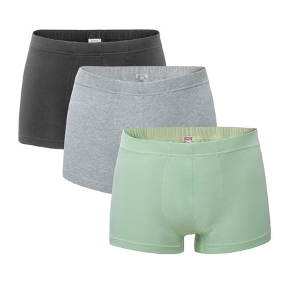 Men's Sagon Organic Cotton Trunks 3 pack